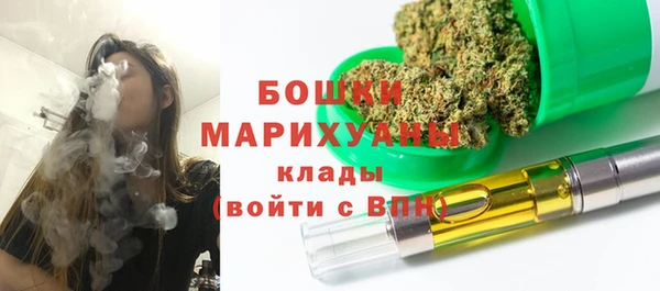 шишки Михайловск