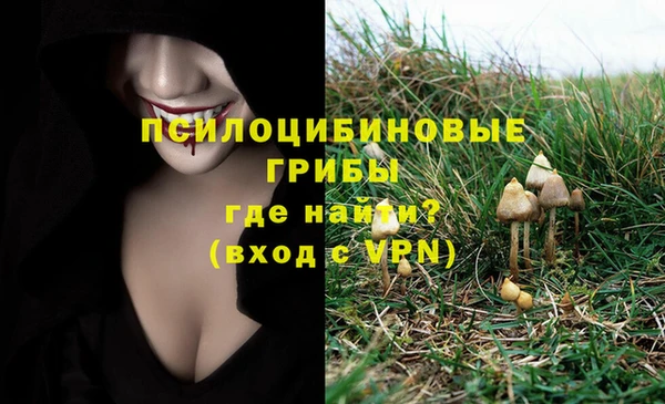 СК Михайлов