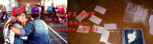 шишки Михайловск