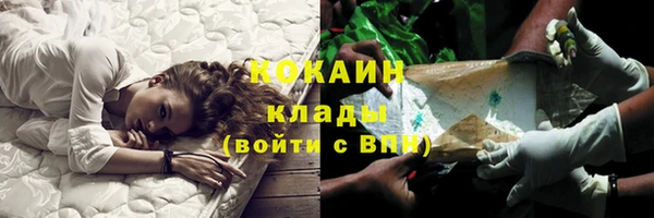 СК Михайлов