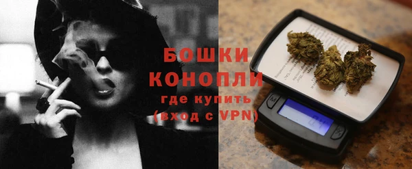 шишки Михайловск