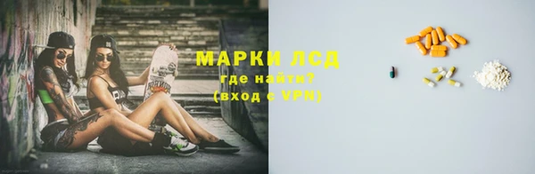 шишки Михайловск