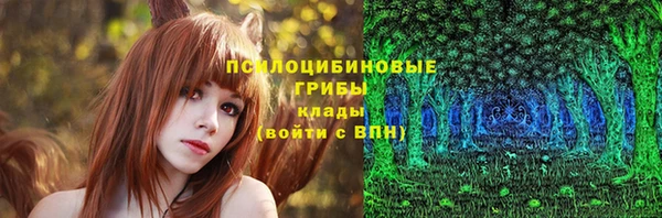 крисы Наволоки