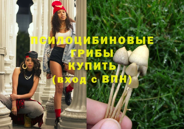 шишки Михайловск