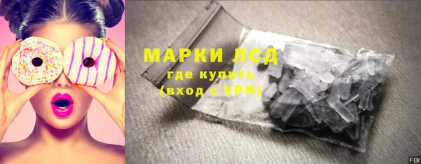 шишки Михайловск