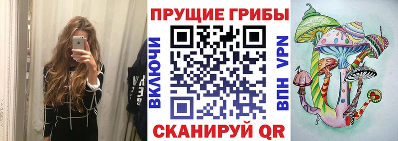 Галлюциногенные грибы мухоморы  Купить закладки  Южно-Сухокумск 